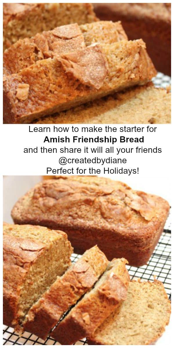 Amish Friendship Bread Starter Created By Diane