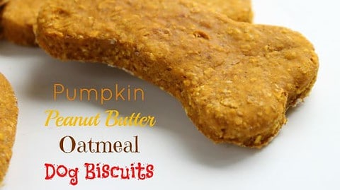 Pumpkin Peanut Butter Oatmeal Dog Biscuits