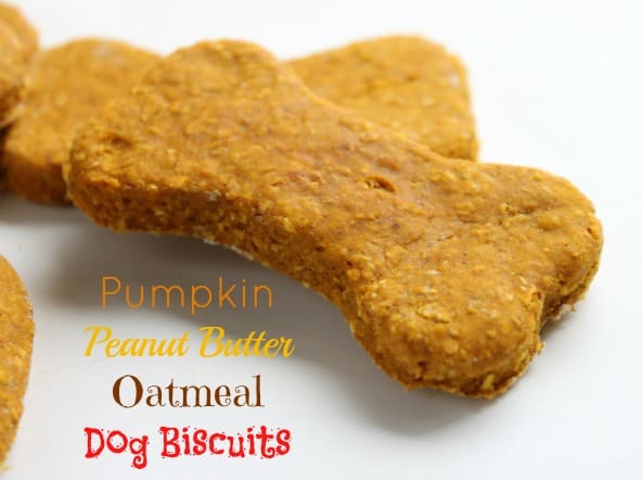 oatmeal dog cookies