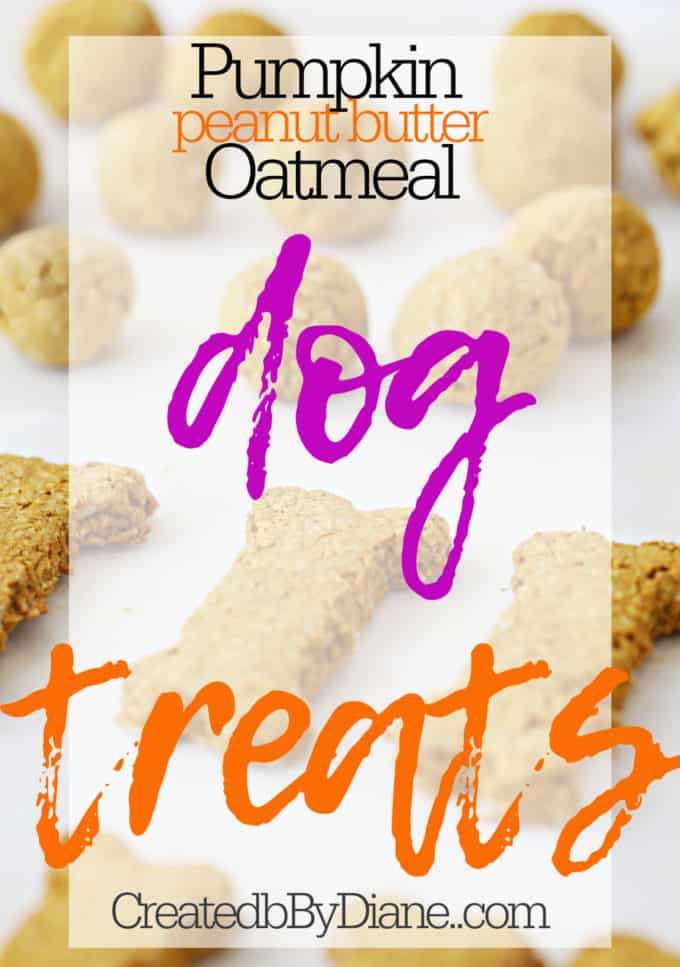 pumpkin oatmeal peanut butter dog treats