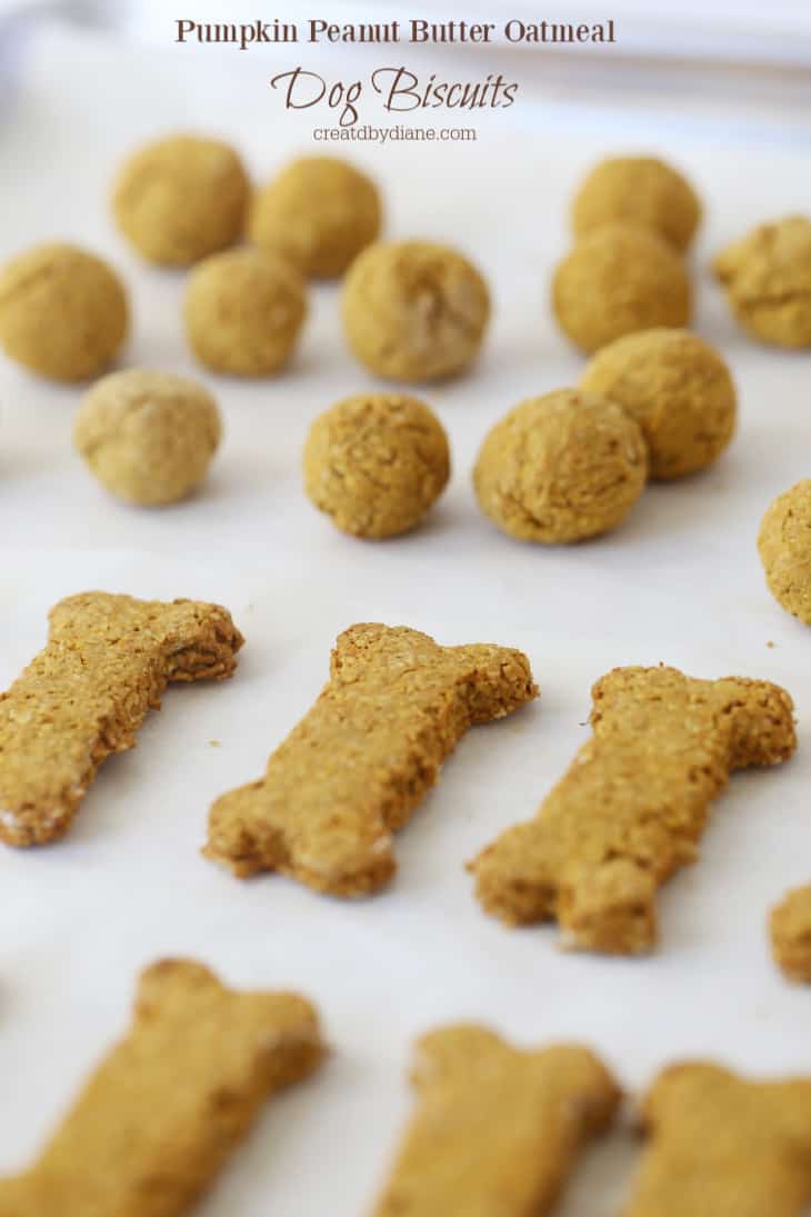 Pumpkin Peanut Butter Oatmeal Dog Biscuit | Created by Diane