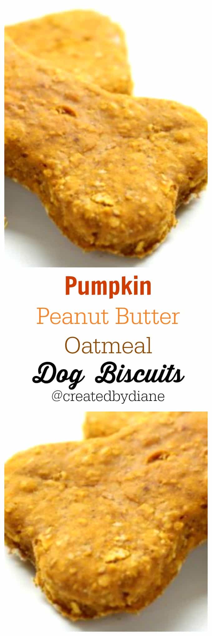 pumpkin oat dog treats
