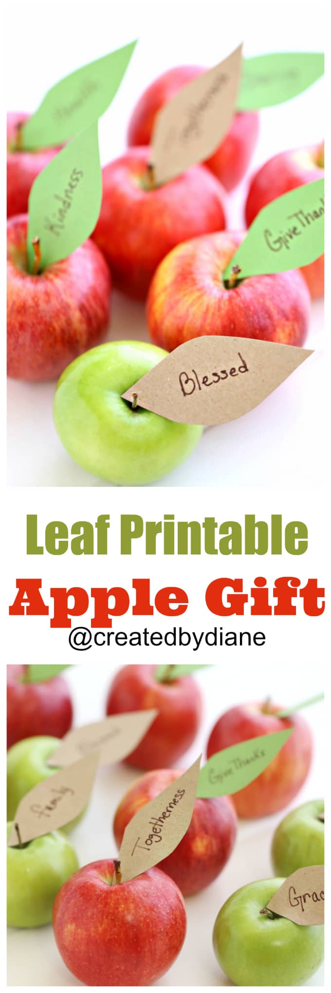 leaf-printable-apple-gift-createdbydiane-thanksgiving-place-cards-teacher-gift-food-gift