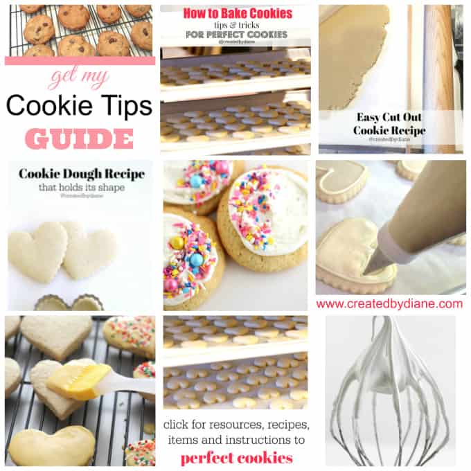 How To Use a Piping Bag (Step-by-Step Guide) 