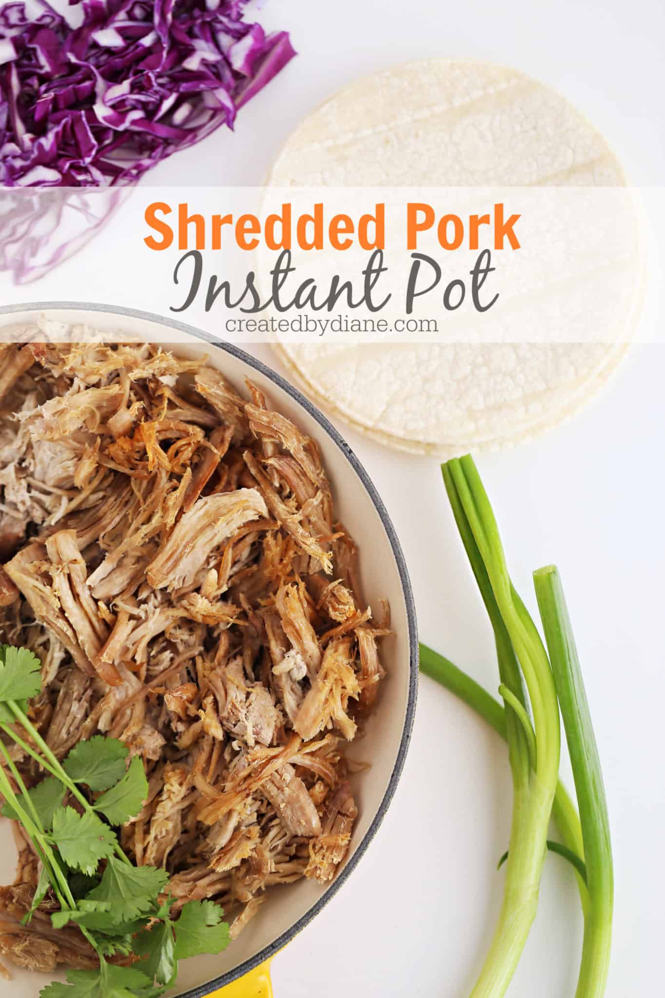 Instant Pot Shredded Pork | Created by Diane