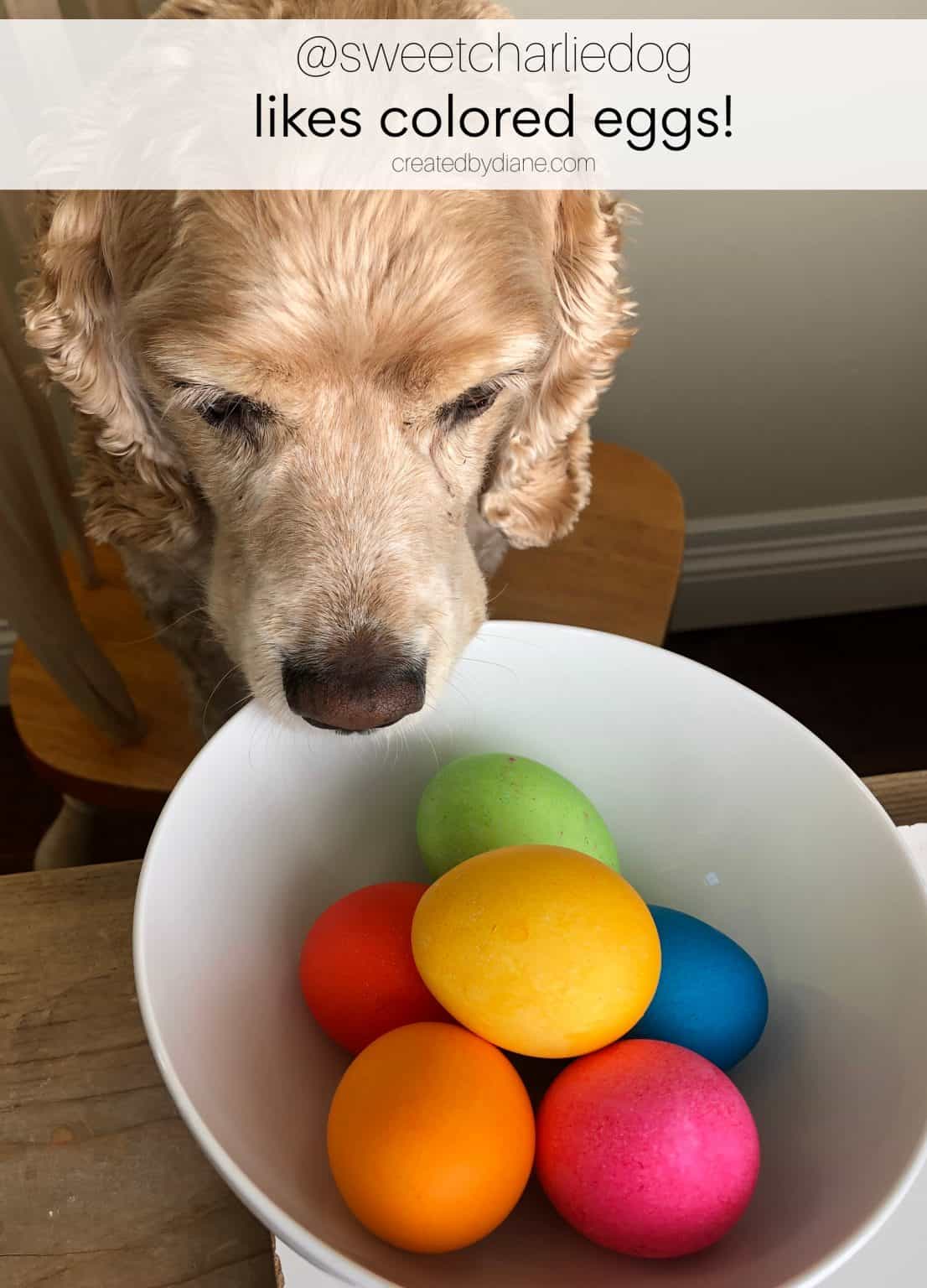 Coloring Eggs Created By Diane   Coloring Eggs With @sweetcharliedog 1106x1536 