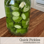 quick-pickles-createdbydiane.com_